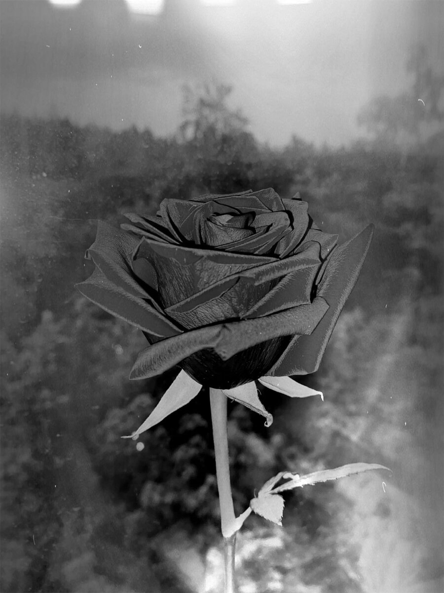 Фотография автора.