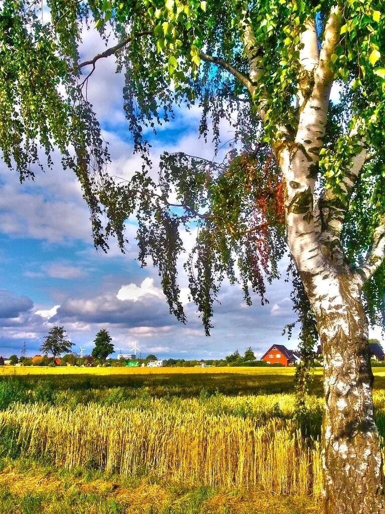 фото с Яндекс.Картинки 