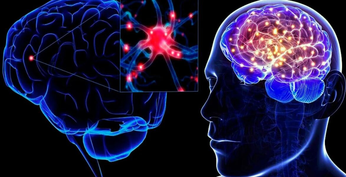 Нейроны в мозге человека