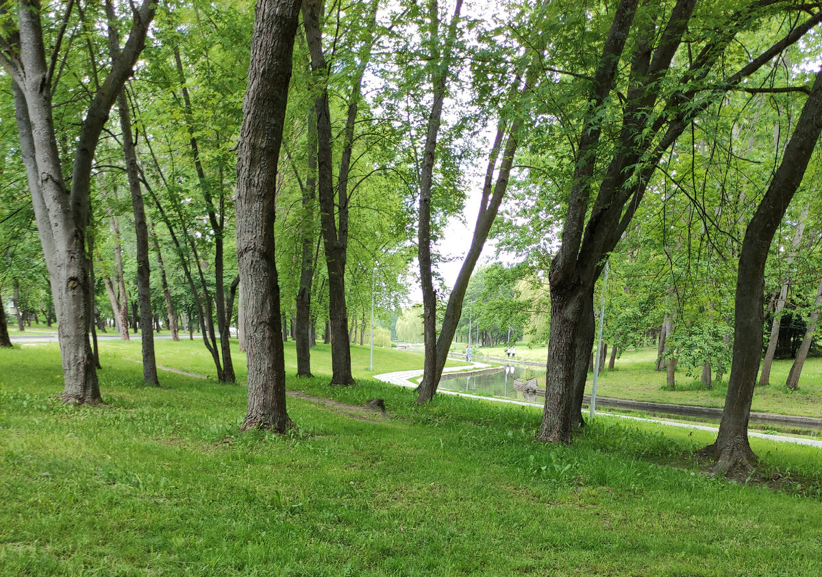 Сейчас бы в тенёк)))