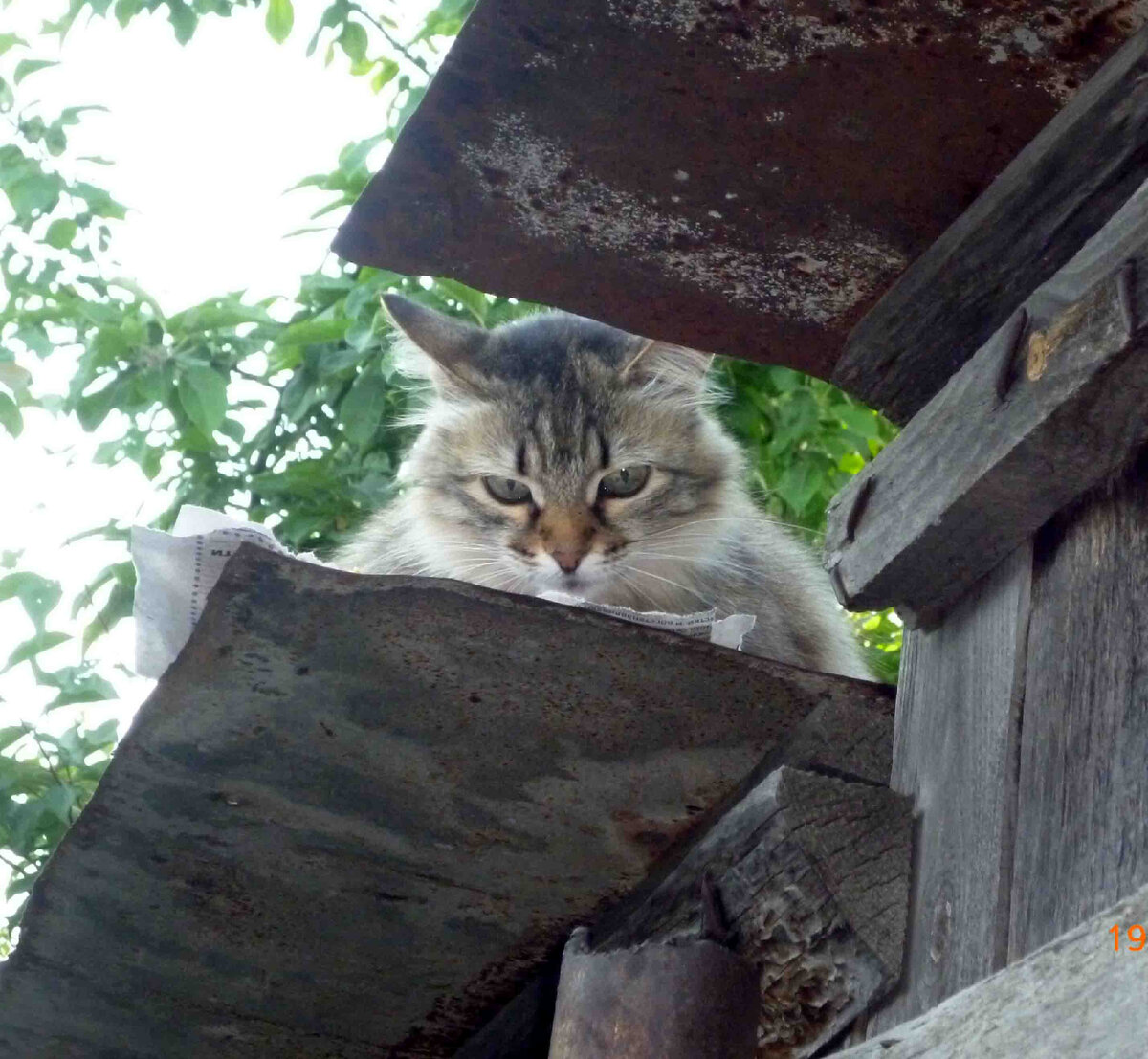 (Фото автора).