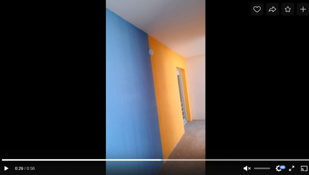 Фото: Prt Scr vk.com /video / Владимир Леонидович