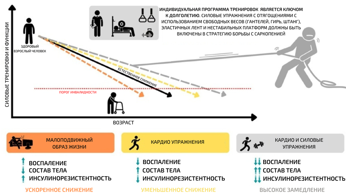 Рисунок 1