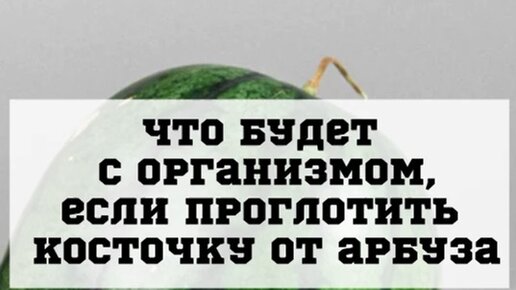 Что будет если проглотить косточку от абрикоса. Что будет если проглотить косточку от арбуза. Что будет если съесть косточку. Что будет если съесть косточку от арбуза. Что будет если проглотить косточку.