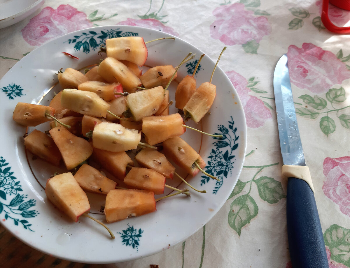 Простой и быстрый рецепт из ранеток - пюре классическое, с облепихой, со  сгущенкой | Диван до свидания | Дзен