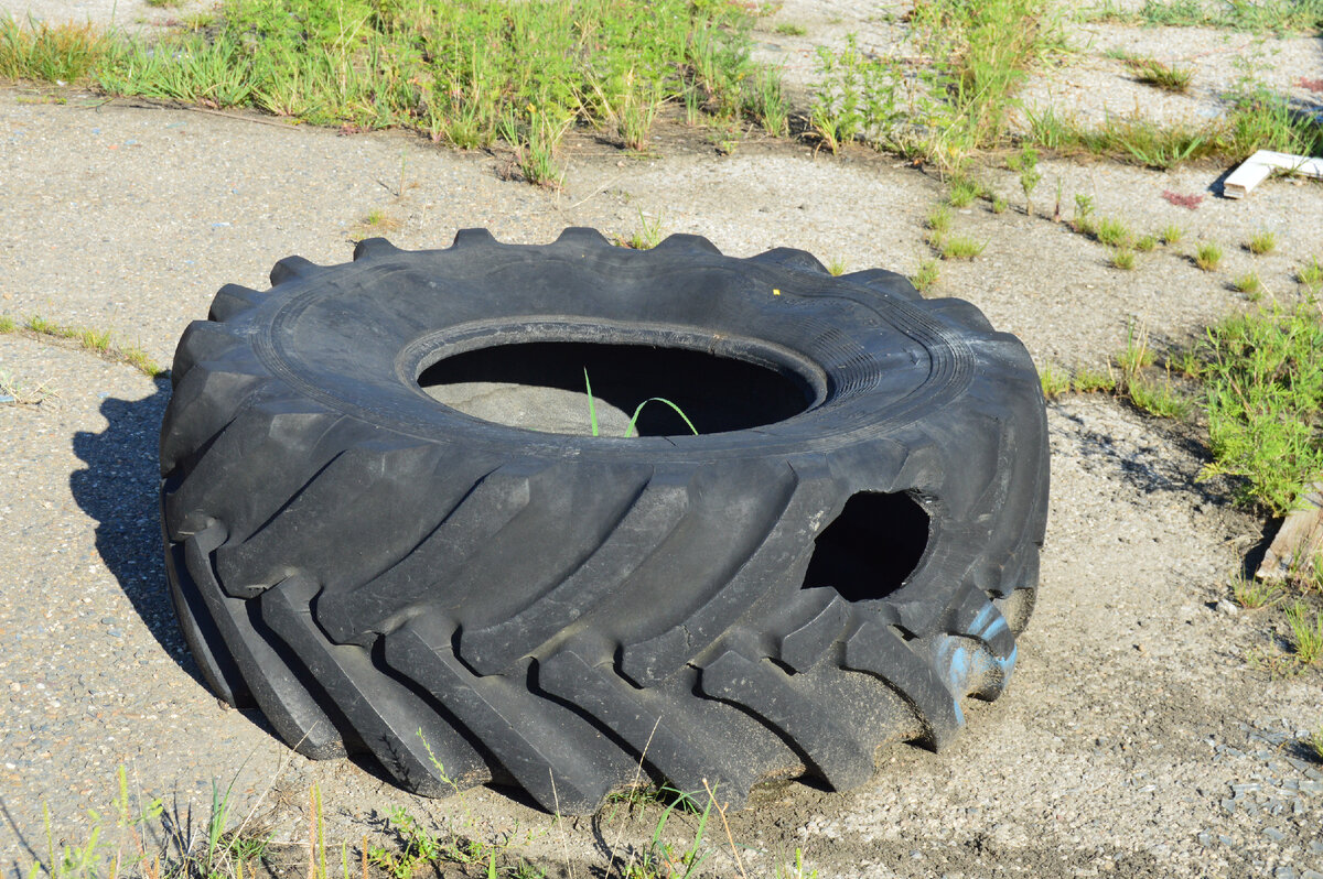 Фото автора . Испорченный скат.