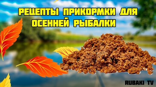 Ловля плотвы осенью: где искать, и какие снасти использовать .