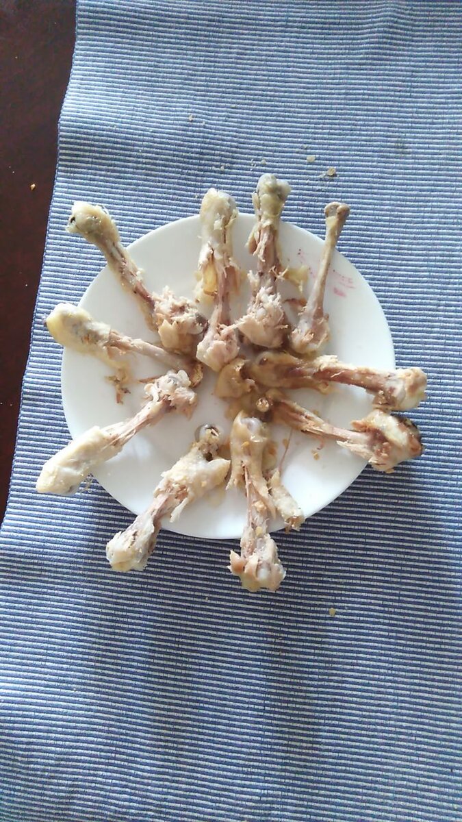 Тарелка с костями куриных ножек