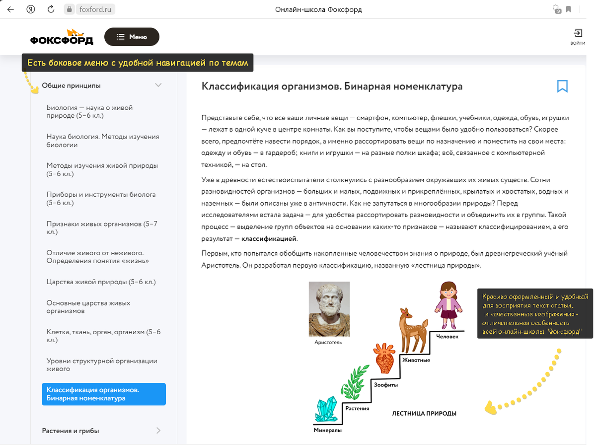Интерфейс очень дружелюбный: сбоку есть удобная навигация по темам. Текст очень комфортно читается благодаря фирменным шрифтам, а схемы и картинки здорово иллюстрируют прочитанное и помогают лучше разобраться в теме.