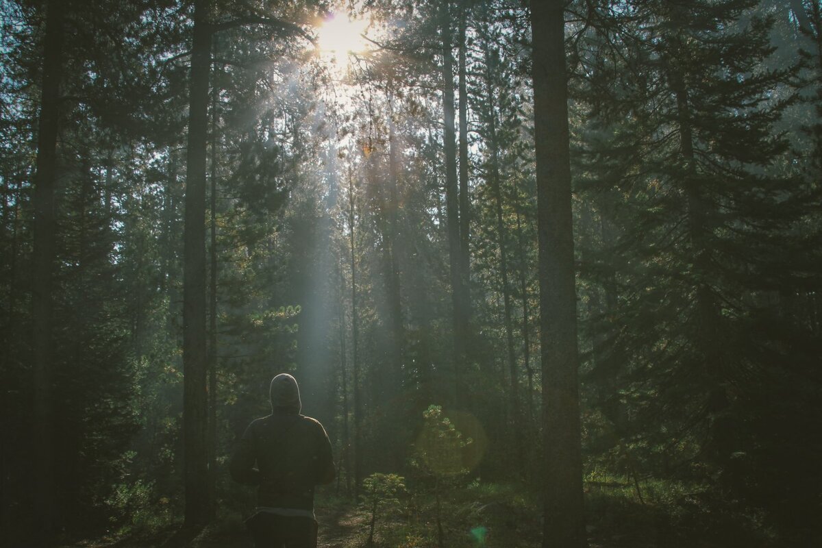    unsplash