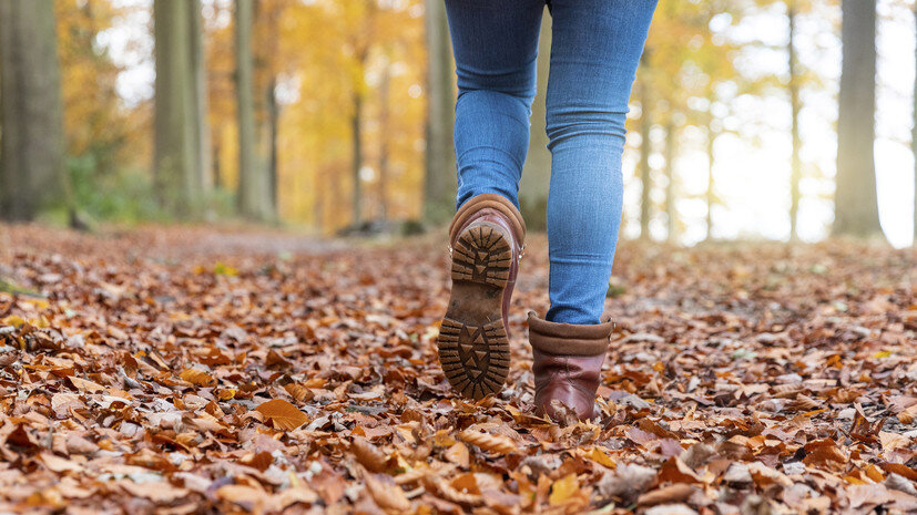   Gettyimages.ru Westend61