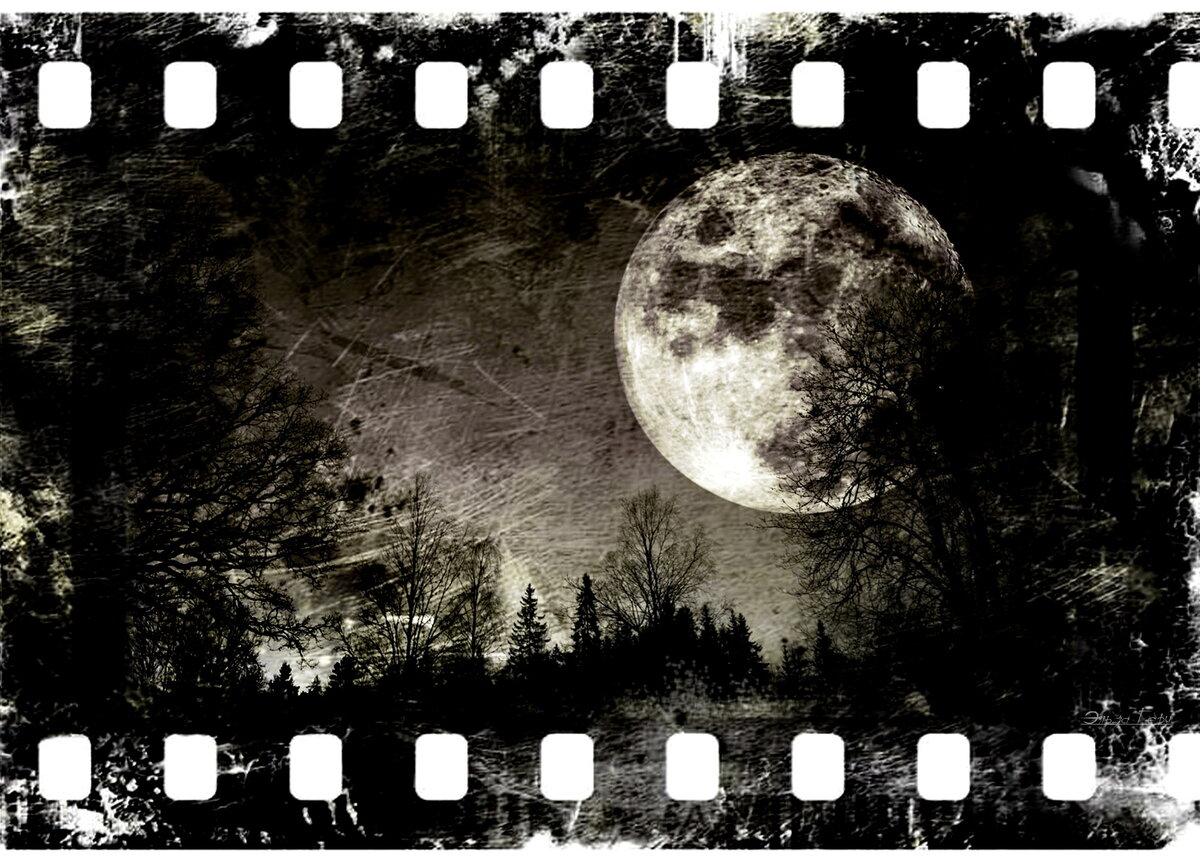 Фотоколлаж с Луной из интернета.