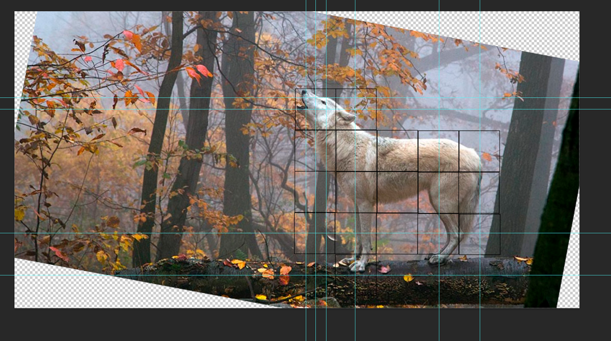 Референс для видео