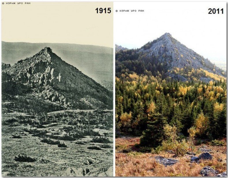 Фактически леса появились там, где их раньше не было, о чём свидетельствуют исторические фотографии. 