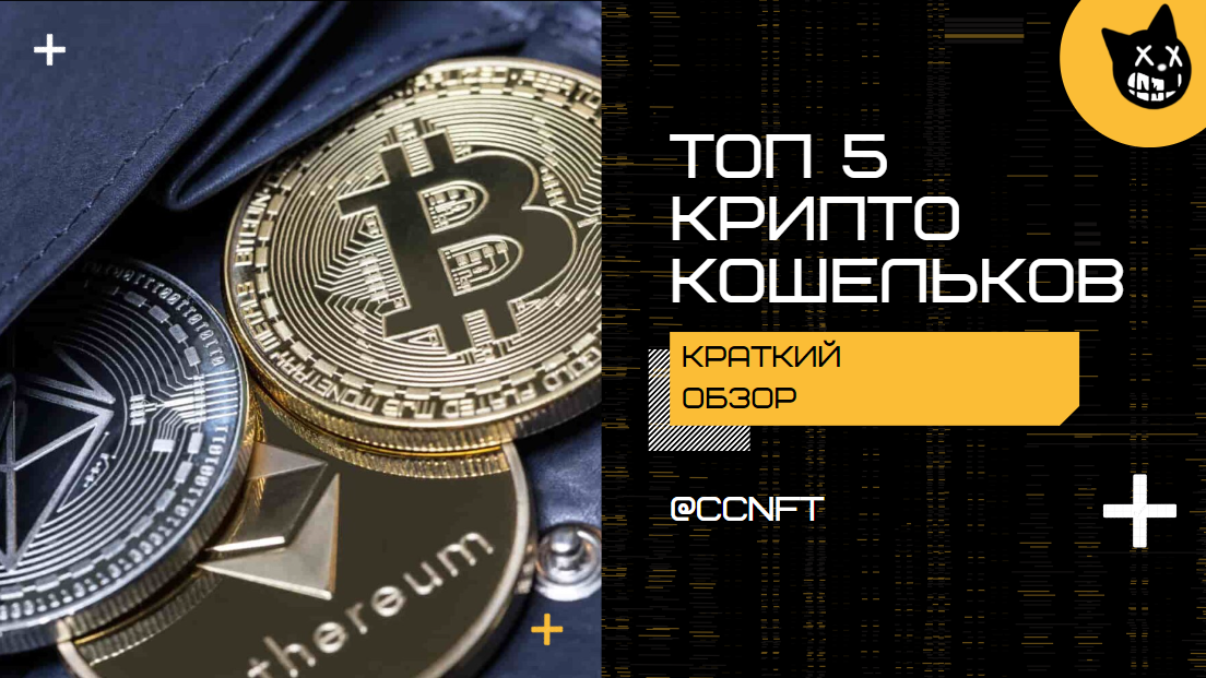 Топ криптокошельков