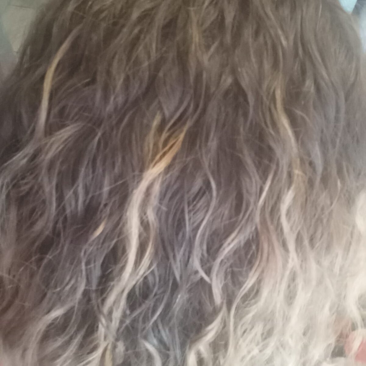 фото автора. Естественное освещение