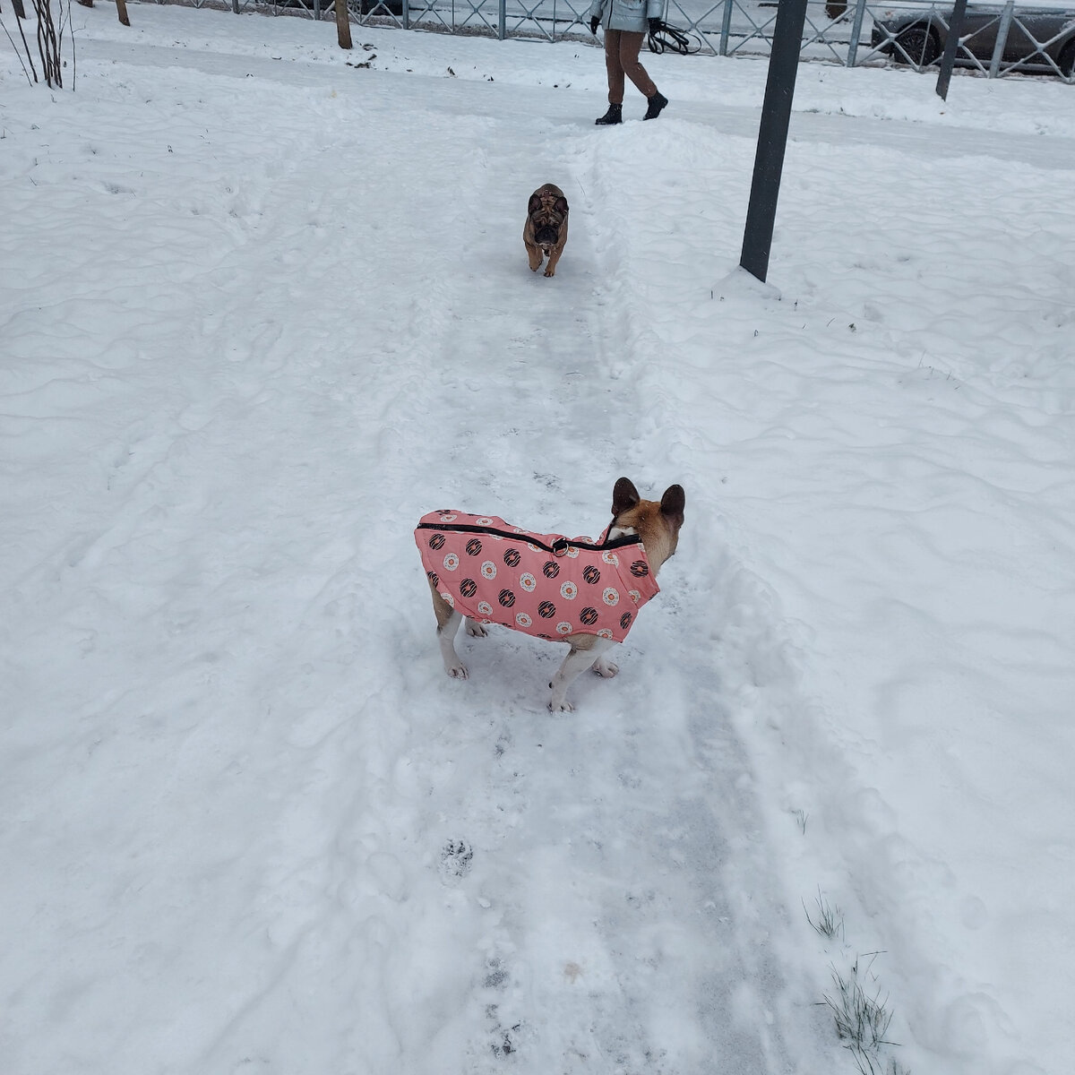 Сейчас будут игрища. Моя стоит ждет, не царское это дело самой к кавалеру идти. Хотя кавалер очень хорош💥 