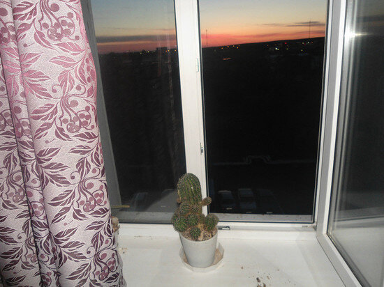     архив "МК в Оренбурге"