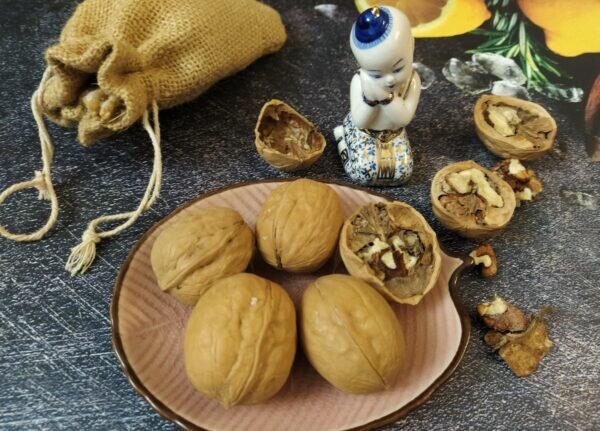    Фото: Екатерина Иванова.UG.RU