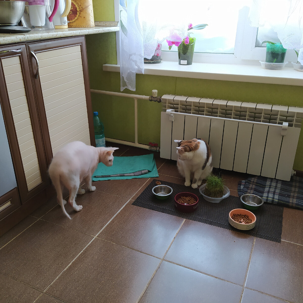 неудачный пас, и мяч  переходит противнику...