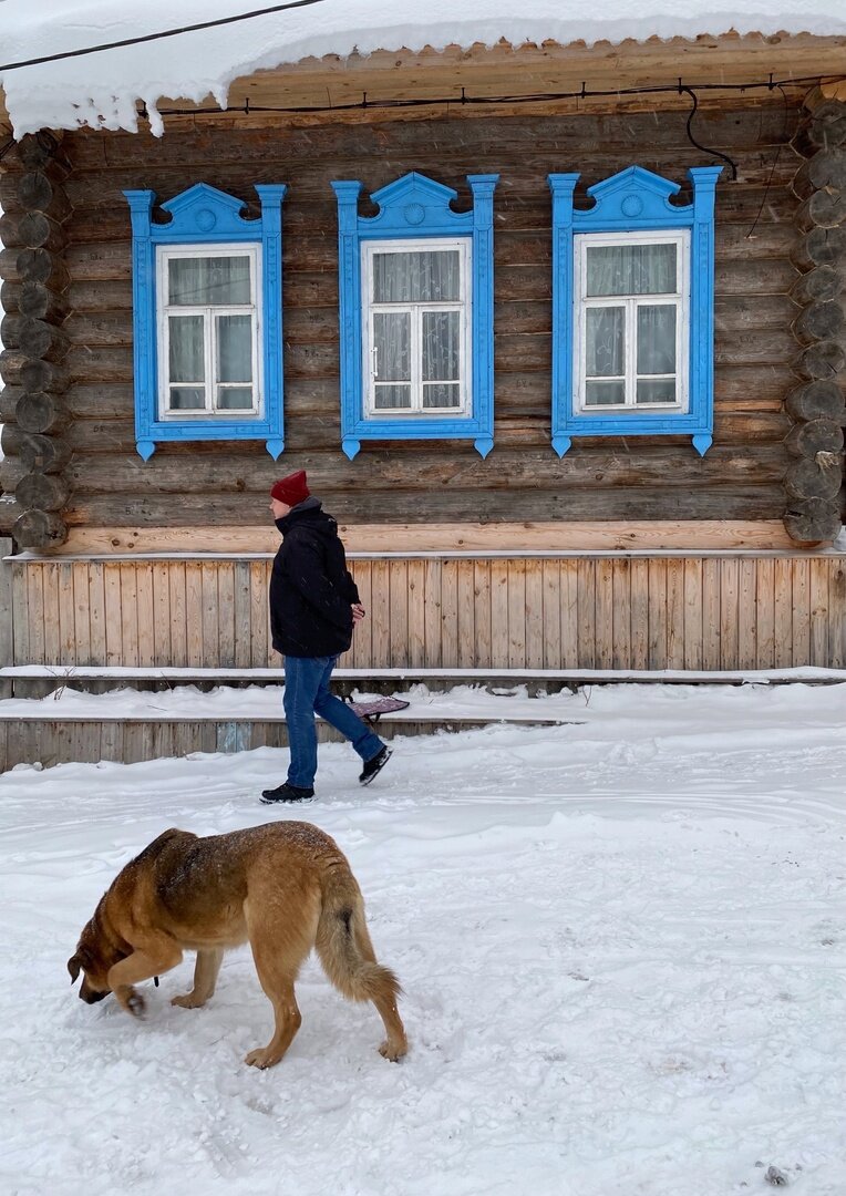 Экодеревня в заповедных лесах Марий Эл рядом с «Половиной Ильича» | Маршрут  построен. Поехали | Дзен