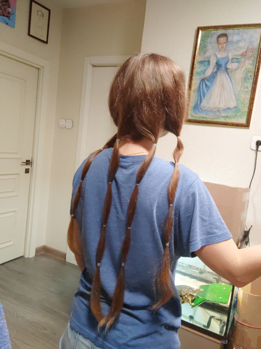 Подготовка к стрижке.