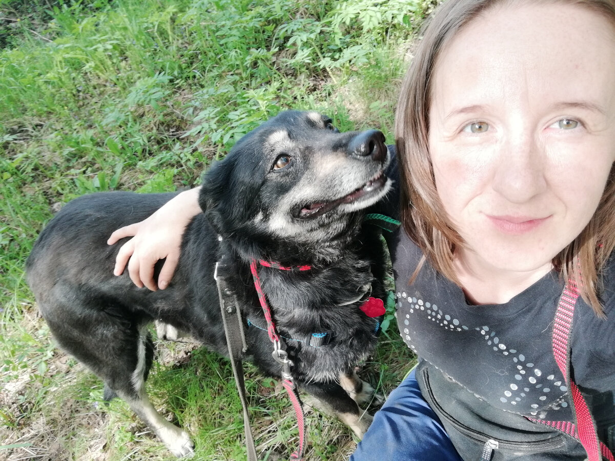 такими преданными глазами, Ива будет смотреть на своего будущего хозяина. Задумайтесь, возможно это именно Ваша собака?