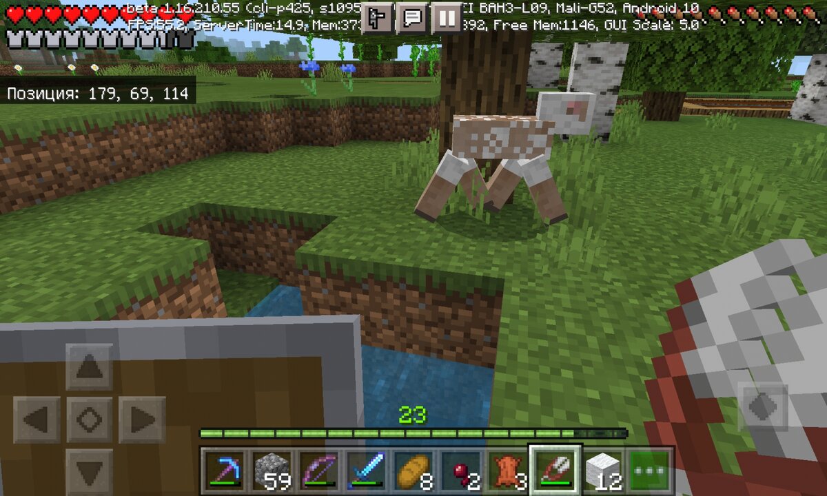 Привет, овечка. 