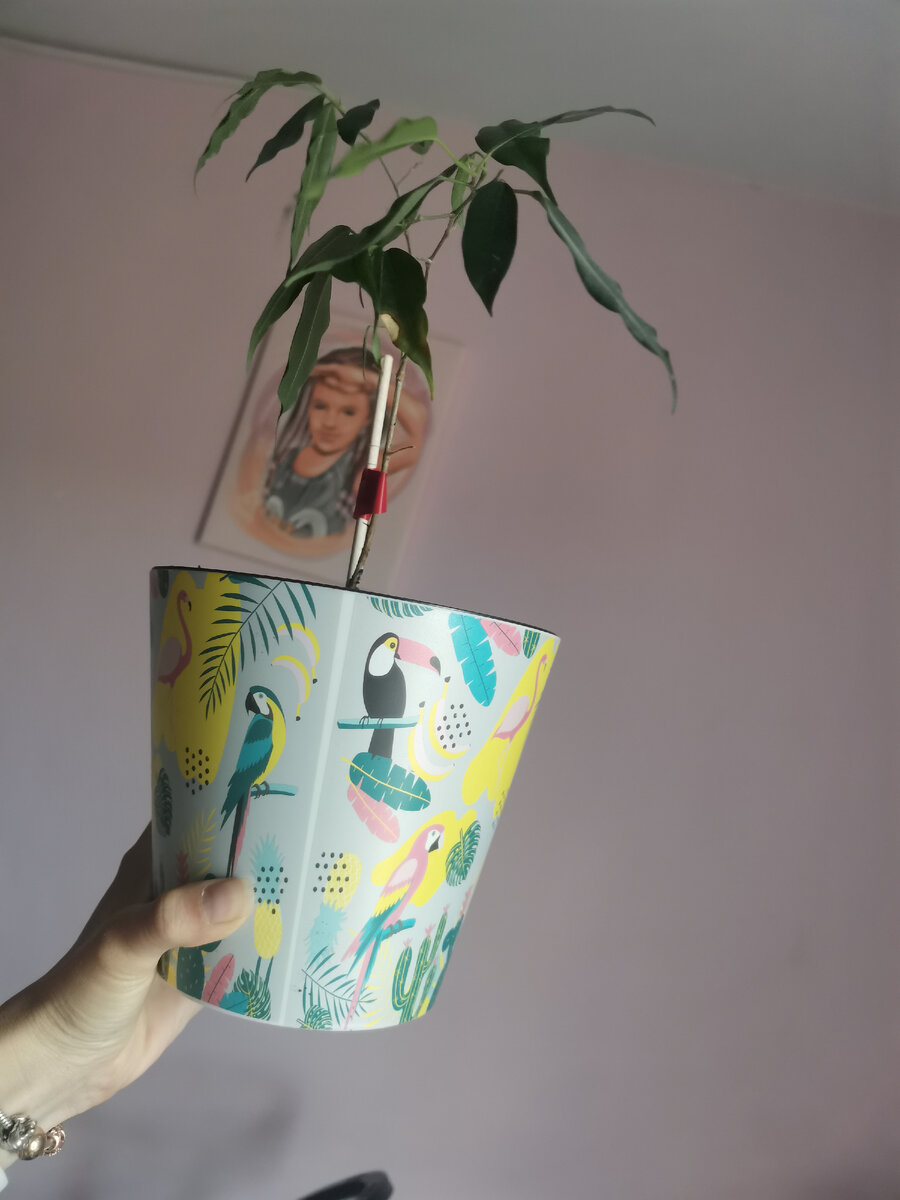 Из Леруа 