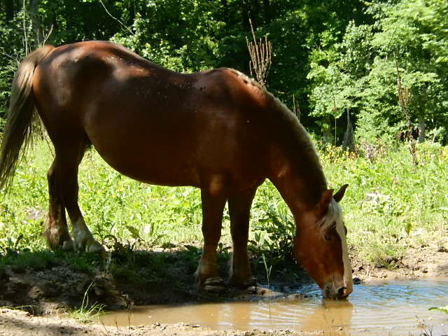 Фото из личного архива