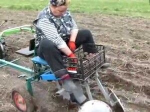 С наступление теплого времени года, у всех дачников и огородников наступают трудовые будни. Копка огорода занимает отдельное место, так как работа это тяжелая и долгая. Конечно же, главным приспособлением для этой работы является лопата, но на сегодняшний день пользуется спросом такое приспособление, как мотоблок. Он существенно облегчает работу и позволяет справиться с ней значительно быстрее. Многие уже наслышаны об этом инструменте, но как сажать картошку под мотоблок не имеют представления. Используется этот инструмент преимущественно для посадки картофеля, и далее попробуем подробнее изучить технику его применения.