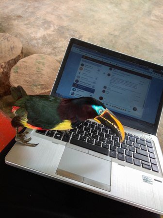 настолько не боятся, что даже помогают работать