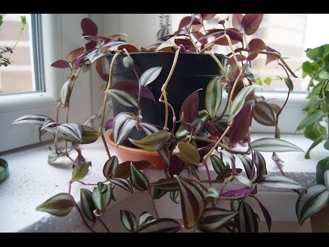 Фото взято из интеренета