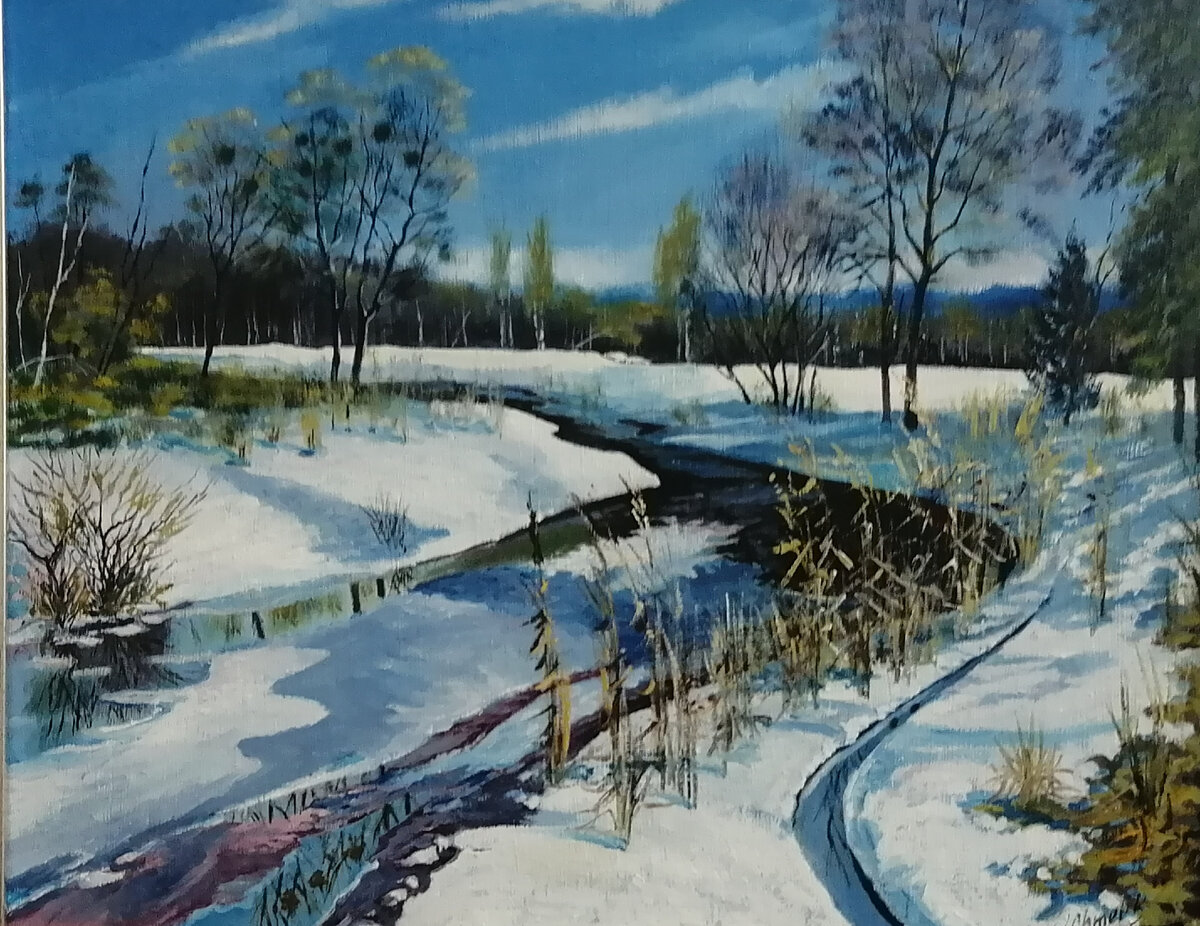 Фото автора. Николай Чмелик "Первый снег".