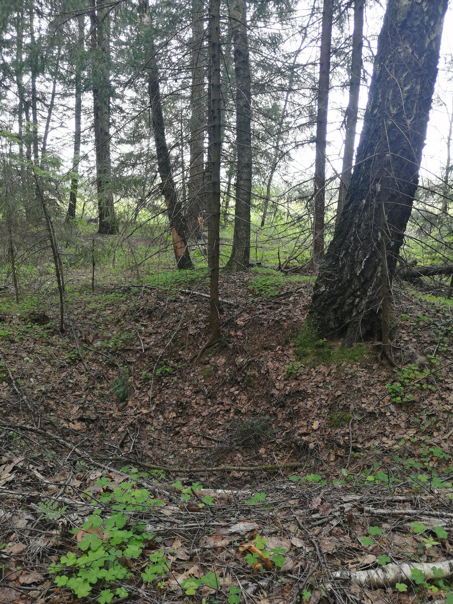 Воронка рядом с тропинкой