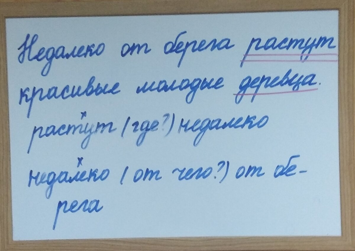 Задания по русскому языку для занятий летом. 3 класс. Занятие 1 | В помощь  родителям младшего школьника | Дзен