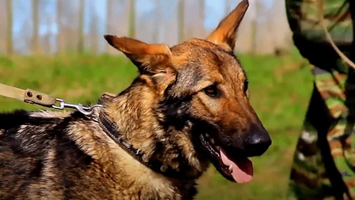 Это не Август, так как его фотографии не нашлось.