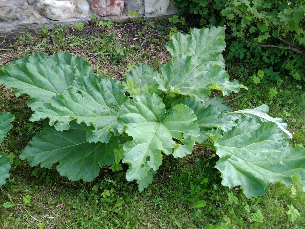 Личное фото.