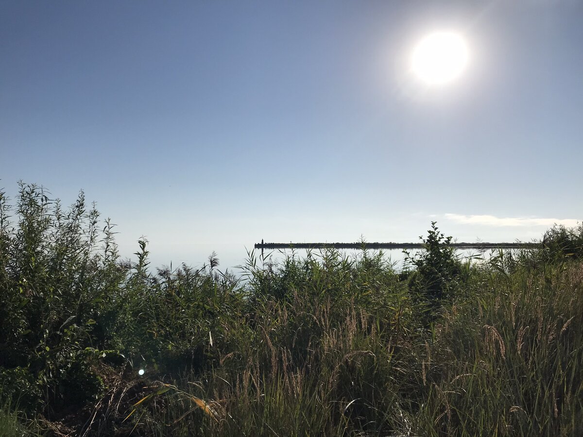 утро на заливе в поселке Рыбачий, Куршская коса