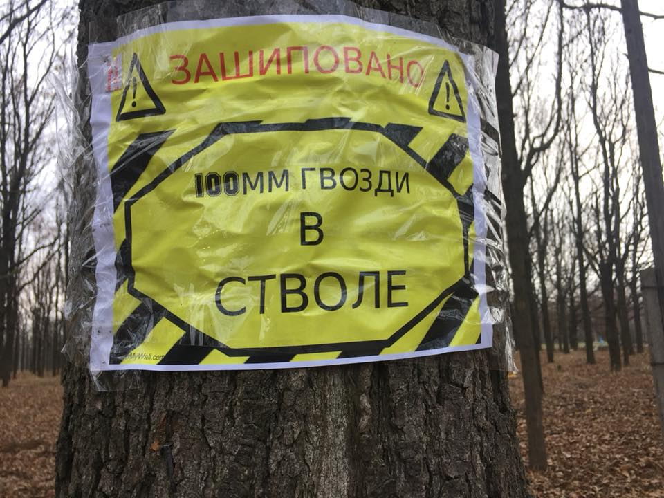 Как защитить деревья от вырубки? Деревенские мужики знают простой секрет, поэтому черные лесорубы больше не приходят в лес3