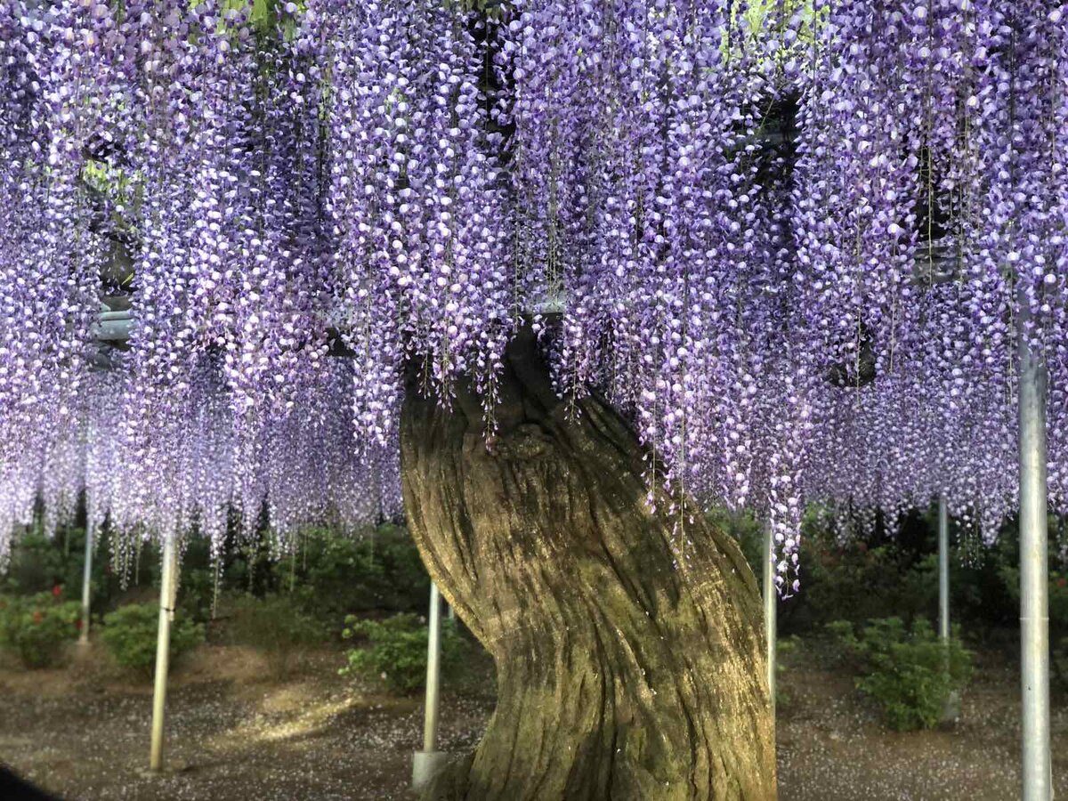 И превращаются в новое произведение