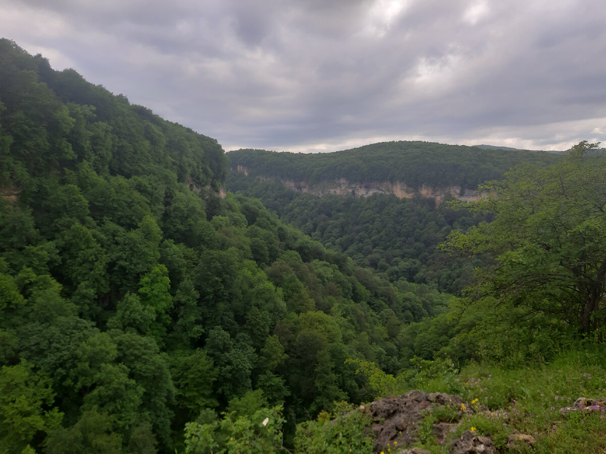 -Ущелье Мишоко 