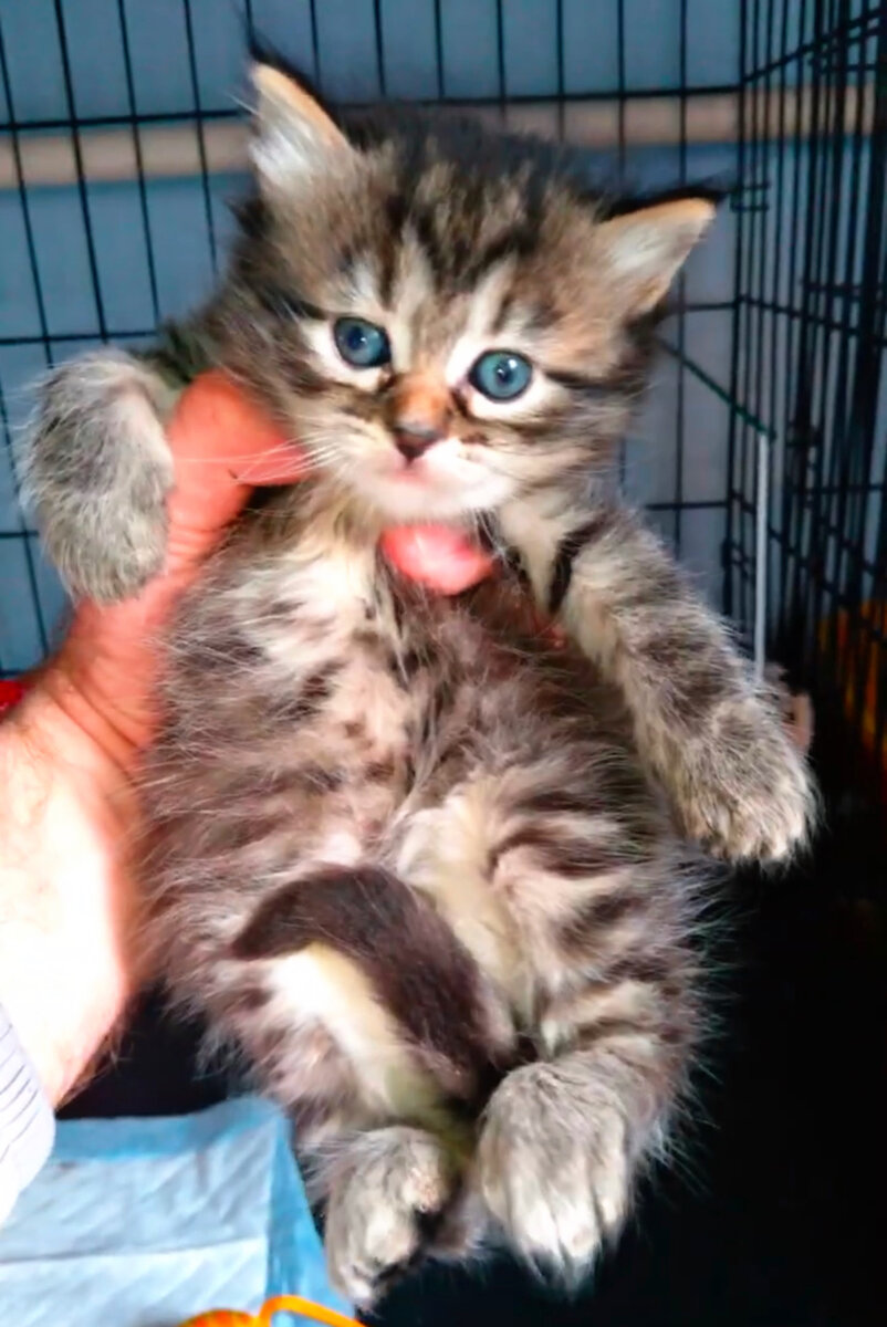 Тоже мальчик-красавчик