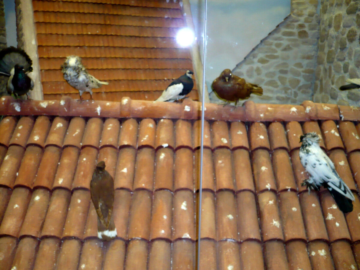 фото из личного архива 