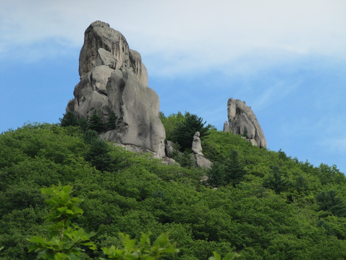 Парк драконов фото