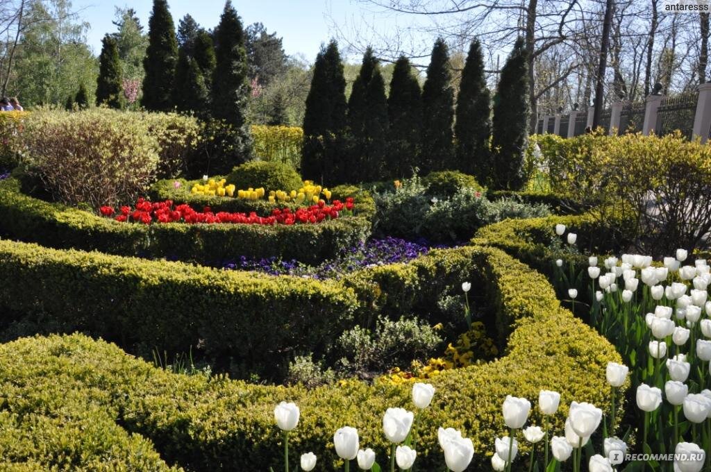 Фотография взята с яндекс-картинки.