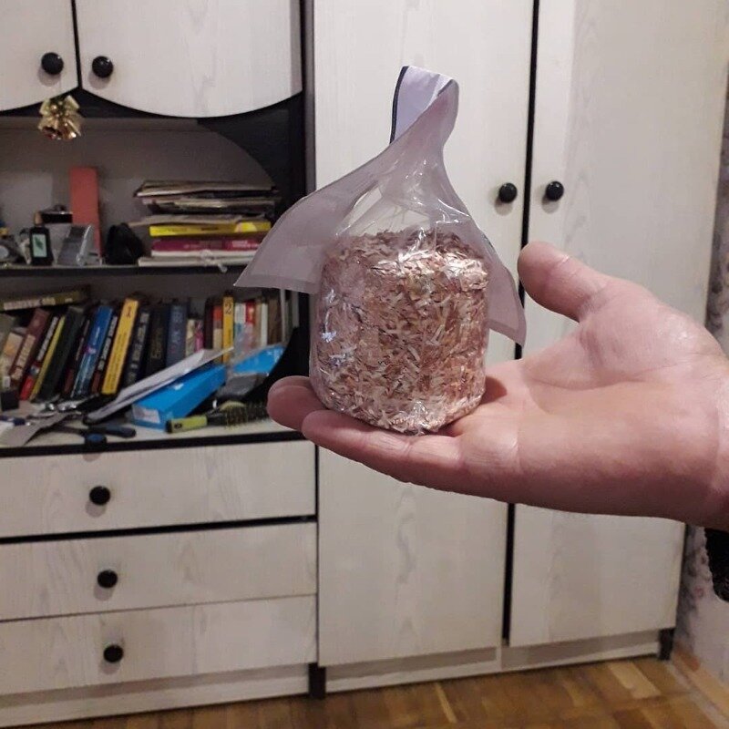 Фото https://www.instagram.com/p/BsA9mtMAalv/