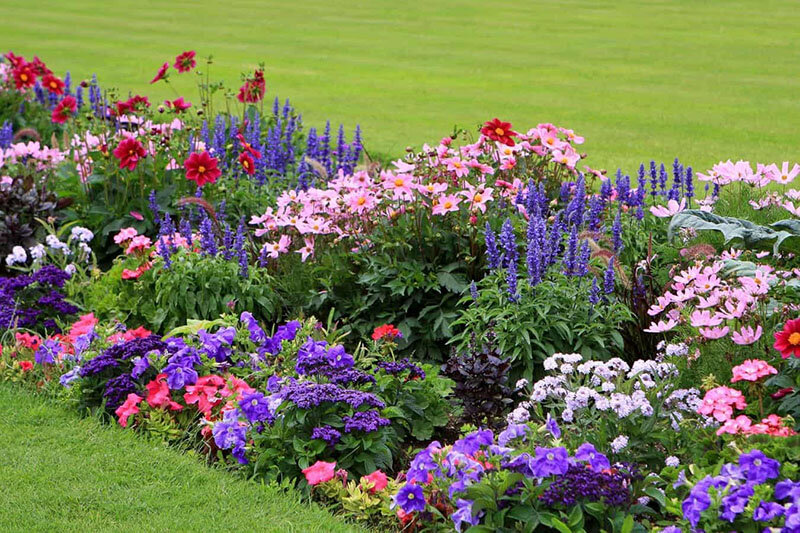 Ландшафт из цветов в вашем саду