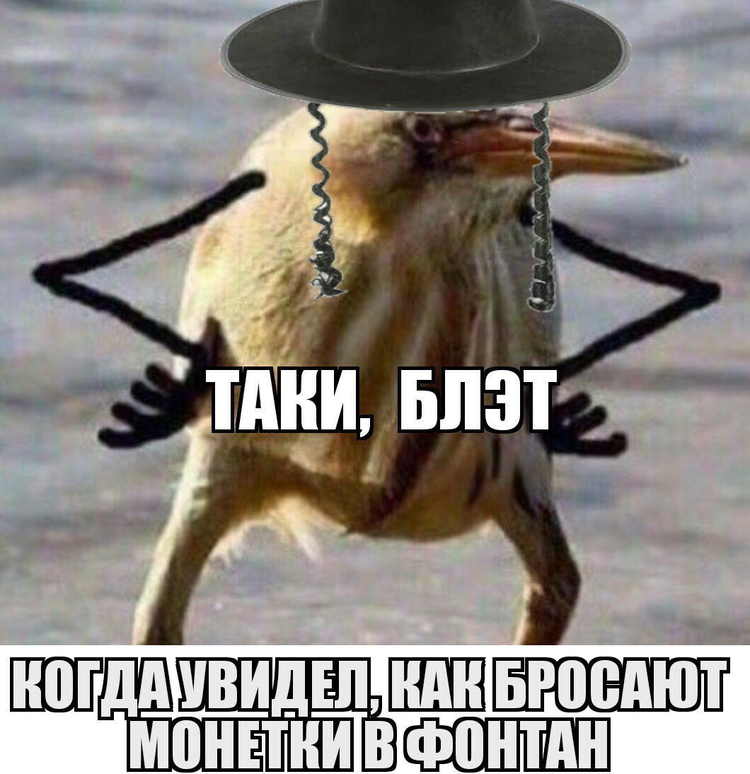 Птичка блэт. Блэт. Мем так блэт. Так блэт. Птичка киви так блэт.