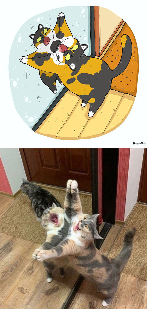Фото: @tactooncat 